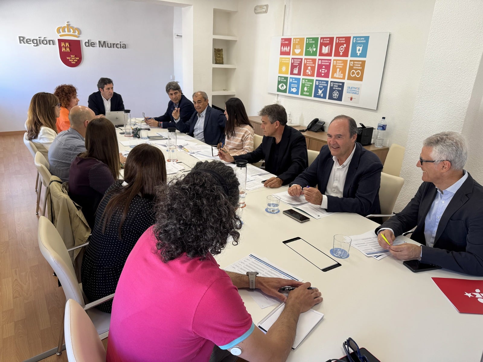CONSEJO ASESOR ECONOMÍA SOCIAL
