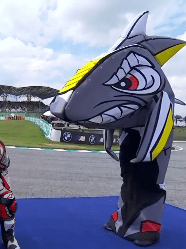 Tiburon Pedro Acosta - Celebracion Mundial Moto2 Vencedor Pedro Acosta - MURCIANO